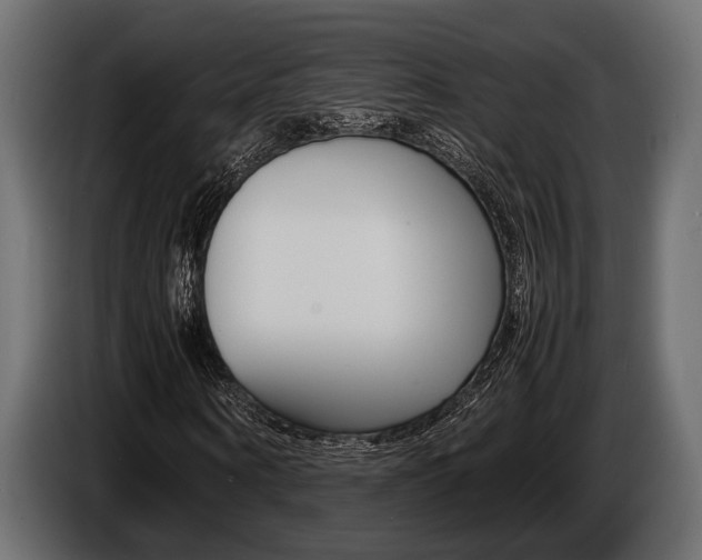 X0000086720866200704130726