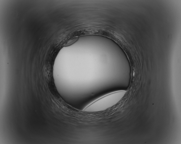 X0000086720867200704130726