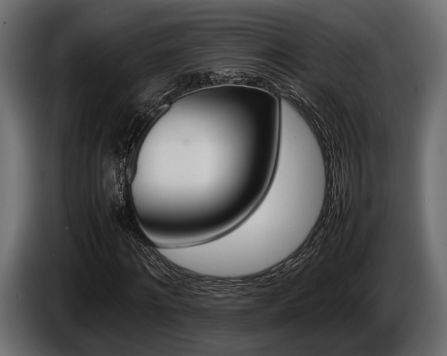X0000086720868200704130726