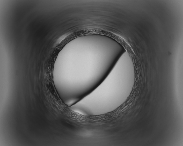 X0000086720871200704130726