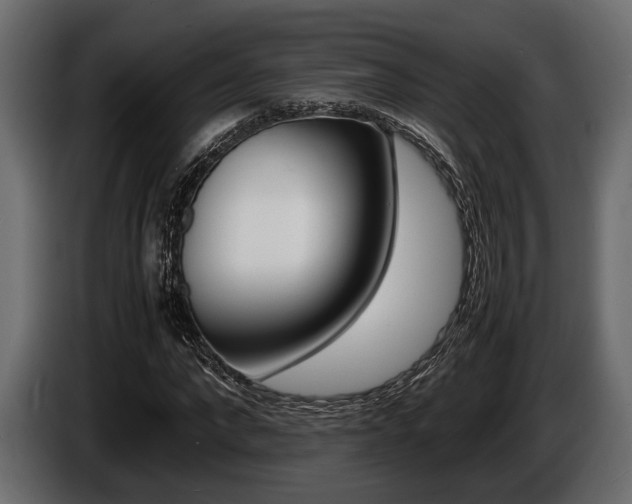 X0000086720872200704130726