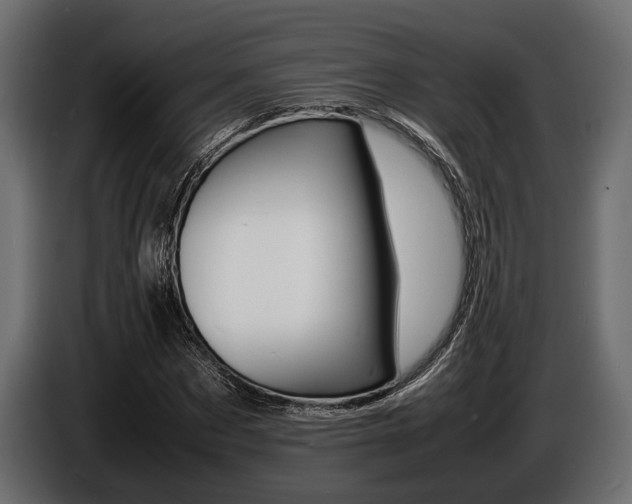 X0000086720873200704130726