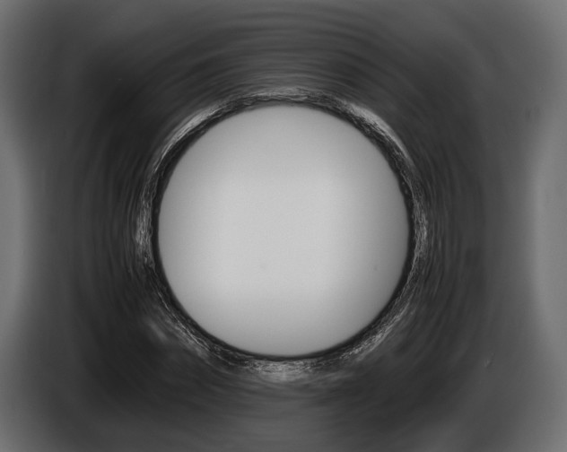 X0000086720874200704130726