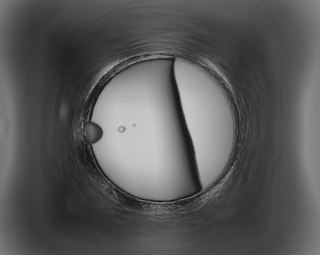 X0000086720875200704130726