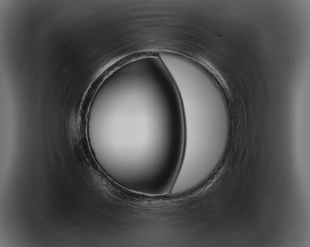 X0000086720876200704130726