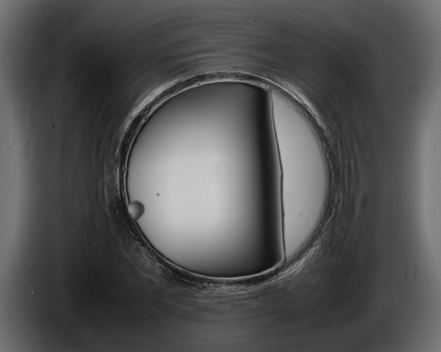 X0000086720877200704130726