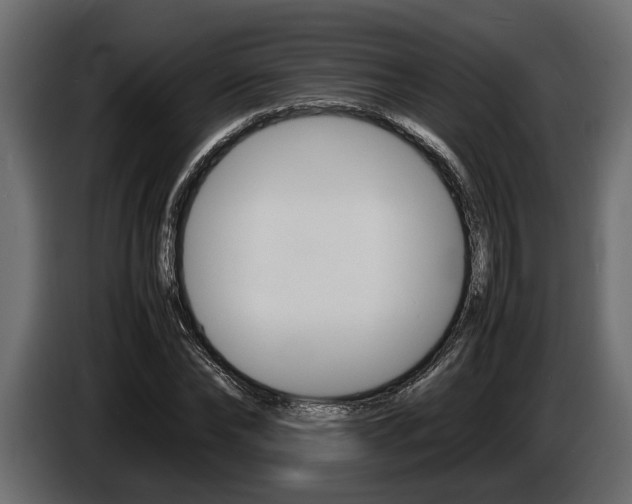 X0000086720878200704130726