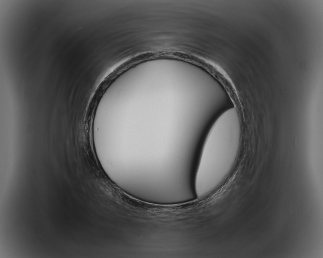 X0000086720879200704130726
