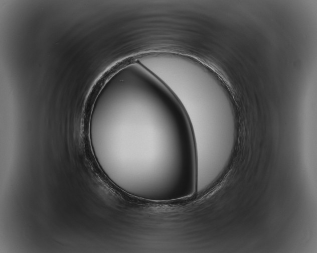 X0000086720880200704130726