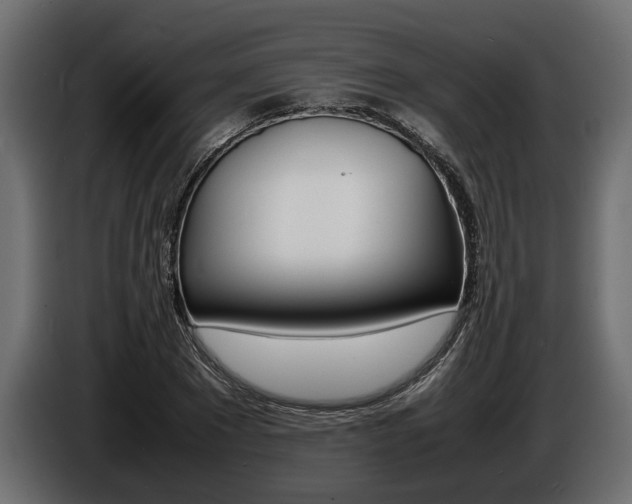 X0000086720881200704130726