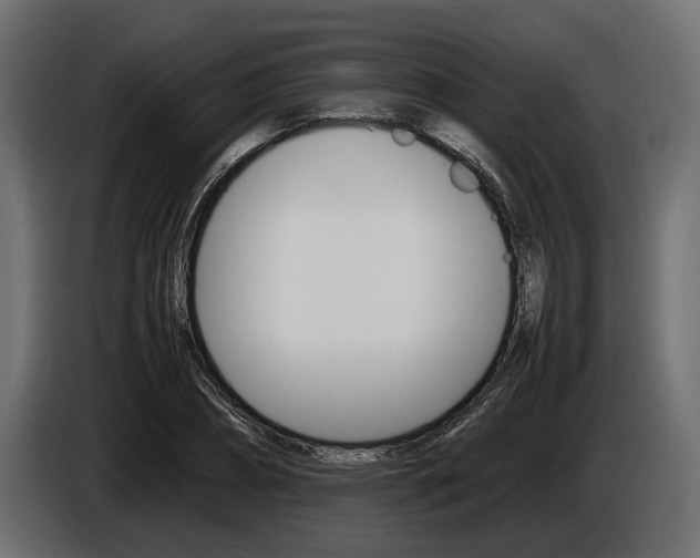X0000086720882200704130726
