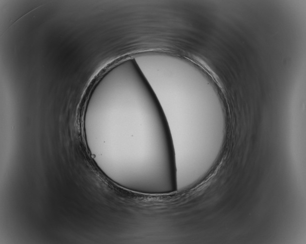 X0000086720883200704130726