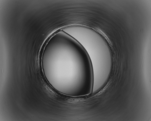X0000086720884200704130726