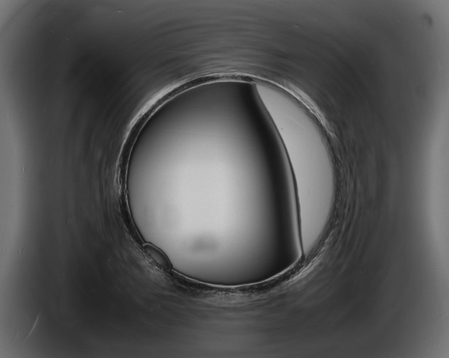 X0000086720885200704130726