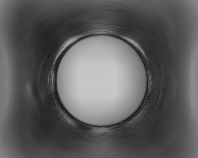 X0000086720886200704130726
