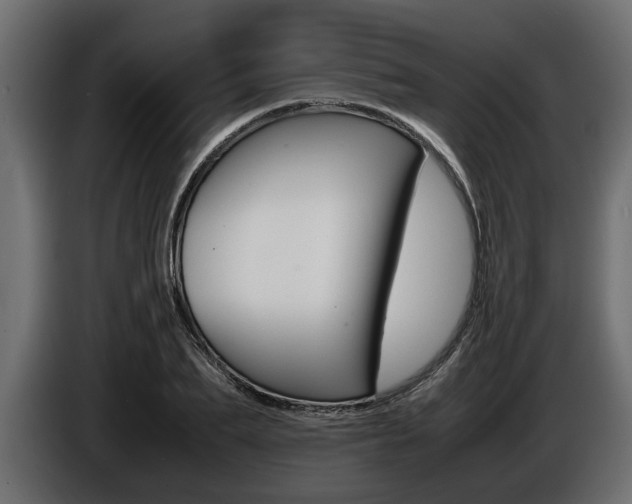 X0000086720887200704130726