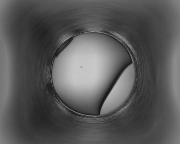 X0000086720889200704130726