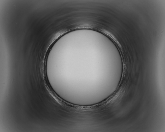 X0000086720890200704130726