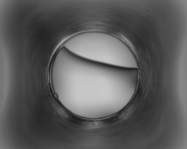 X0000086720891200704130726