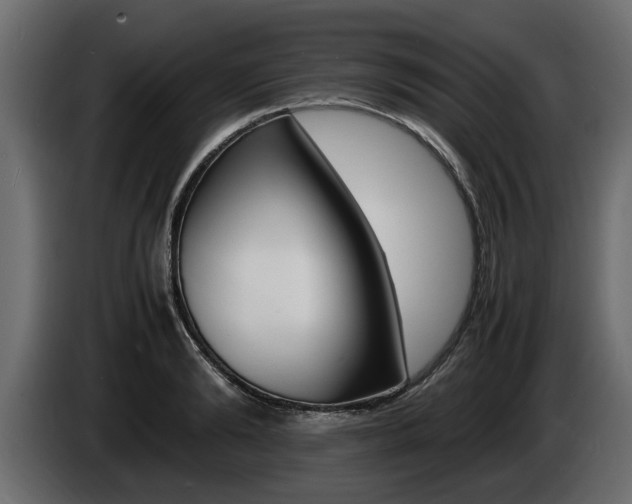 X0000086720894200704130726