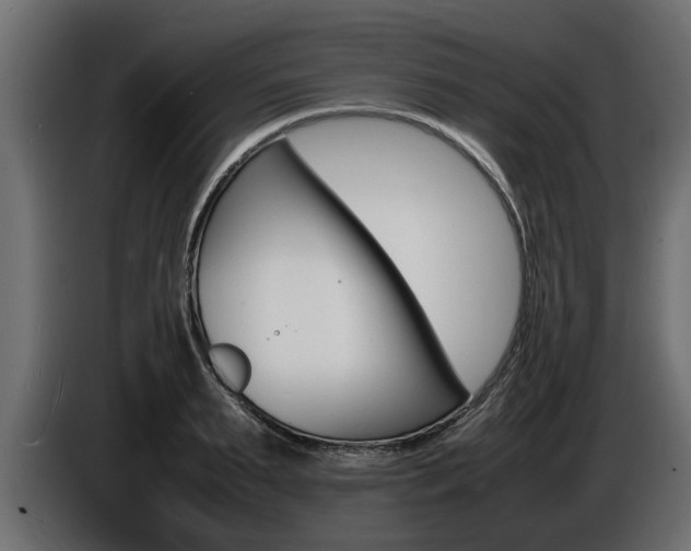 X0000086720895200704130726