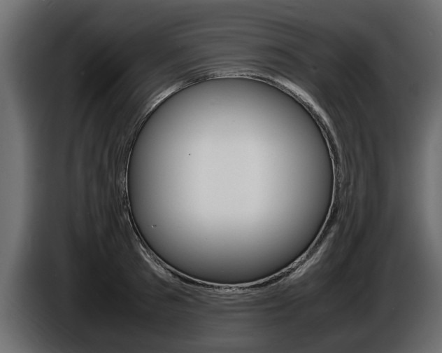 X0000086720897200704130726