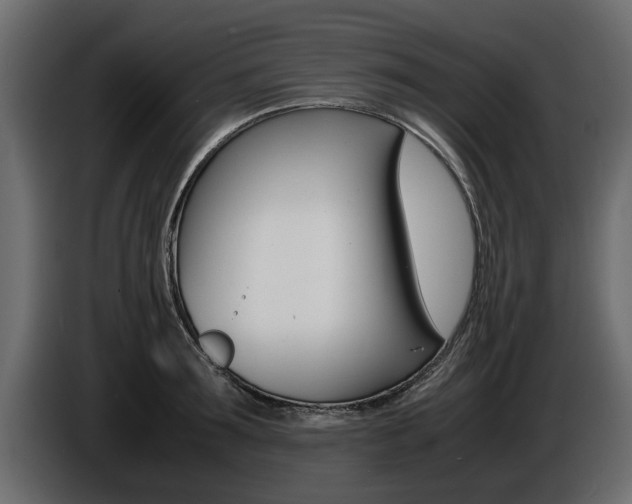 X0000086720899200704130726