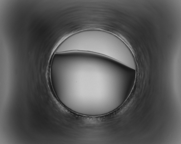 X0000086720901200704130726