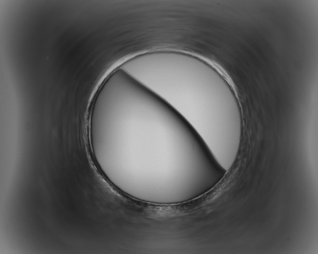 X0000086720903200704130726