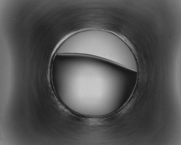 X0000086720904200704130726