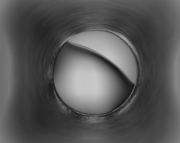 X0000086720905200704130726