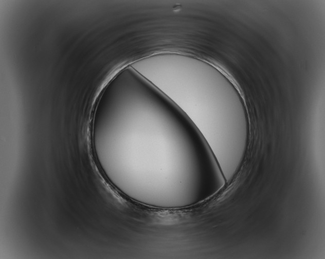 X0000086720906200704130726