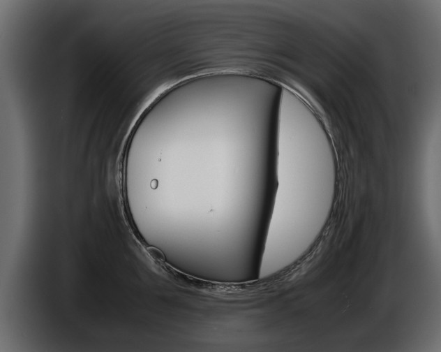 X0000086720907200704130726