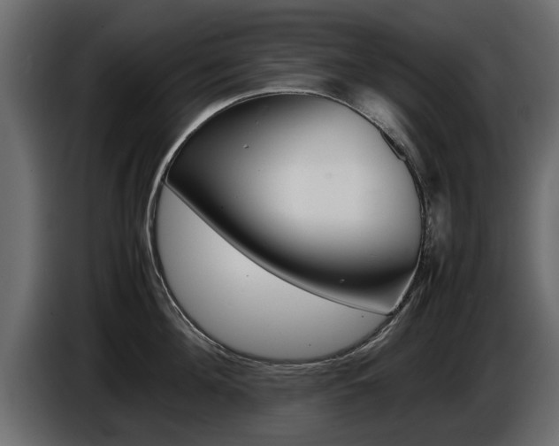 X0000086720908200704130726