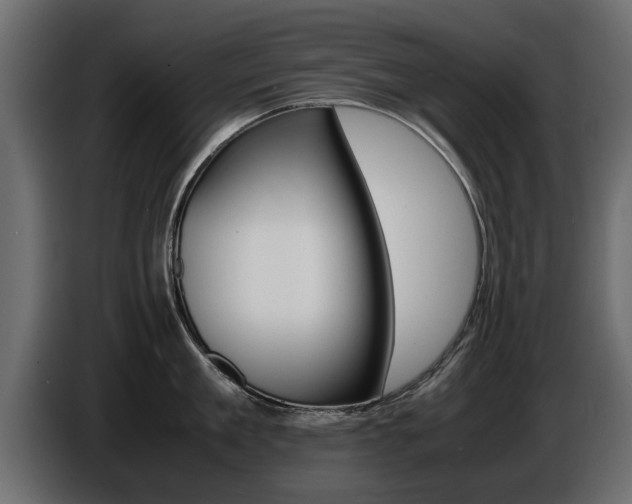 X0000086720909200704130726