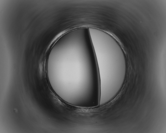 X0000086720910200704130726