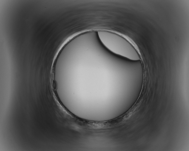 X0000086720911200704130726