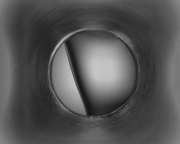 X0000086720912200704130726