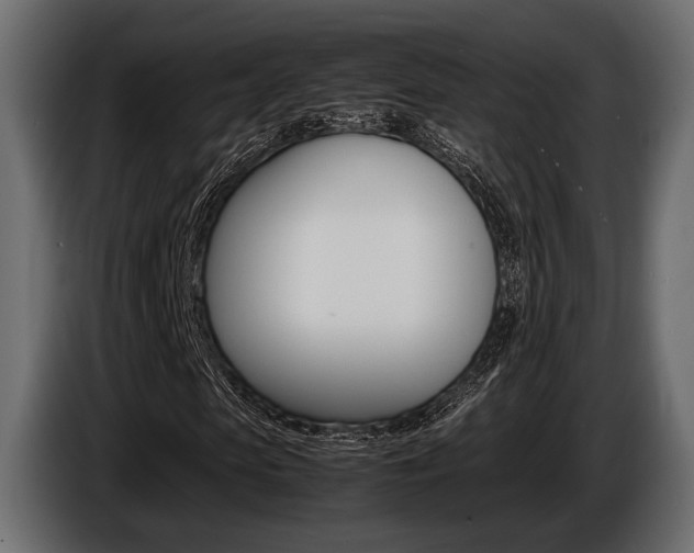 X0000086720913200704130725