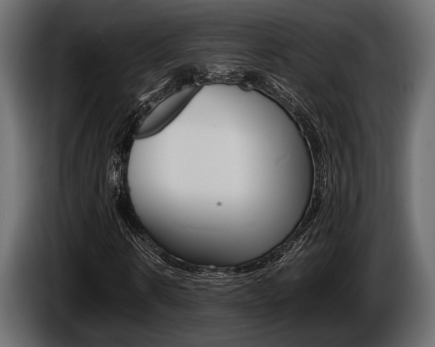 X0000086720914200704130725