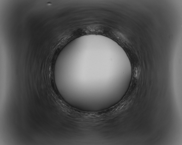 X0000086720915200704130725
