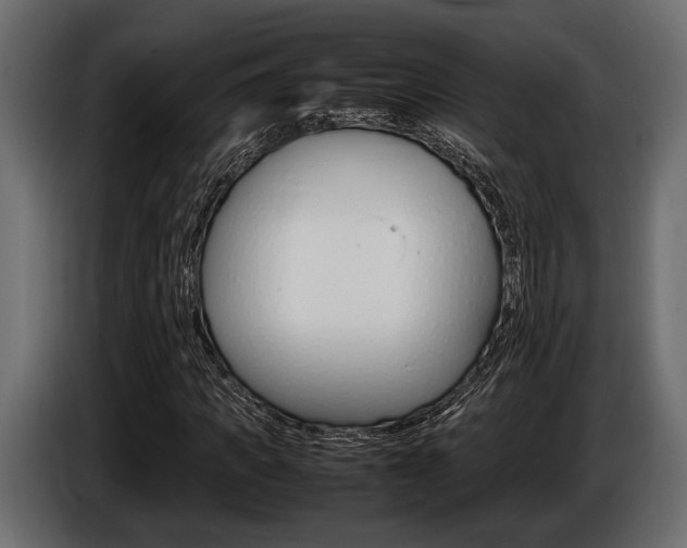 X0000086720917200704130725
