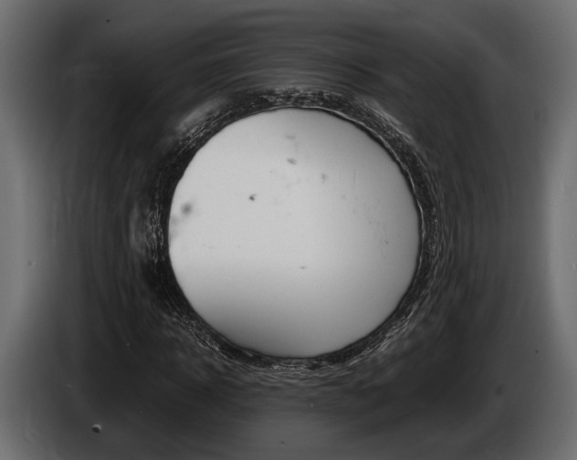 X0000086720918200704130725