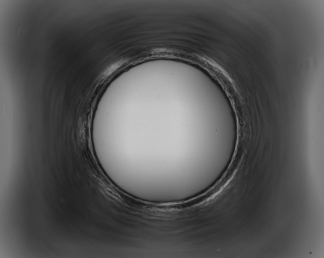 X0000086720921200704130725