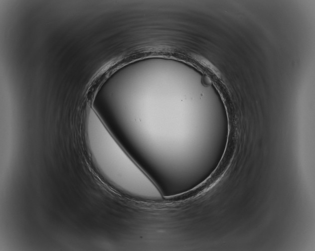 X0000086720922200704130725