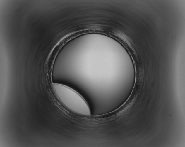 X0000086720923200704130725