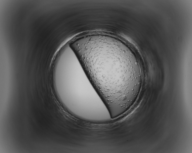 X0000086720925200704130725