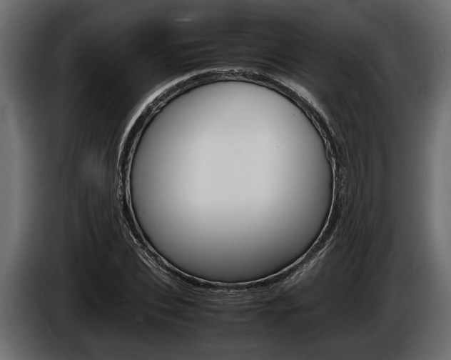 X0000086720927200704130725