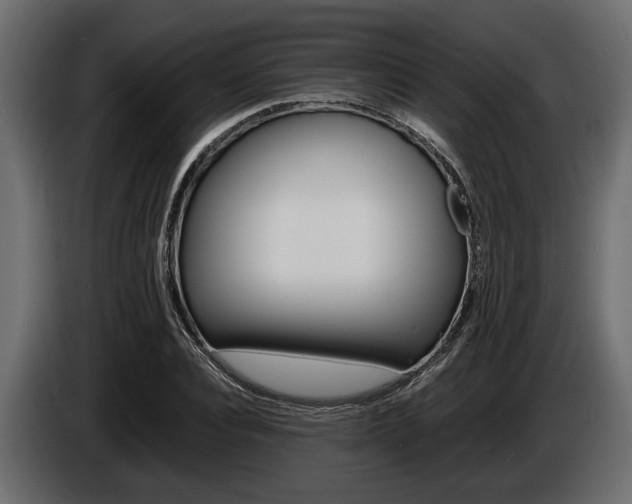 X0000086720928200704130725
