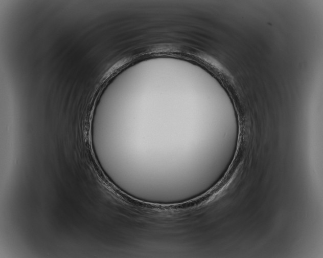 X0000086720929200704130725